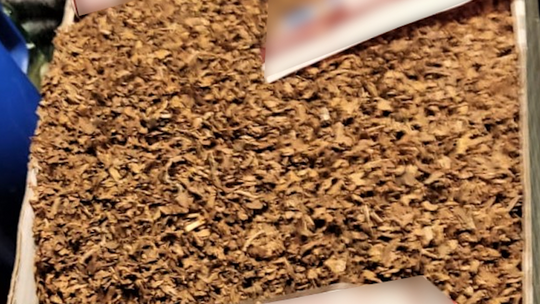 10 kg nielegalnego tytoniu w mieszkaniu seniorów