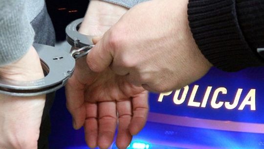 46-letni mieszkaniec Kościerzyny, oskarżony o brutalne zabicie dwóch małych kotów