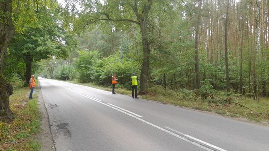 Badali miejsce śmiertelnego wypadku