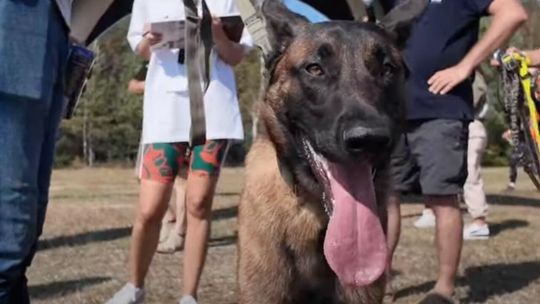 Bieg z psami służbowymi wraca do Wdzydz! DOGMAGEDON K9 już we wrześniu
