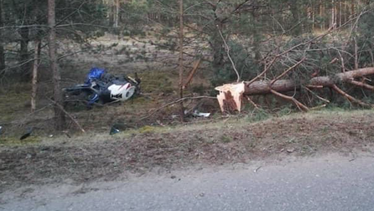 Borsk. Motocyklista uderzył w drzewo i poniósł śmierć na miejscu