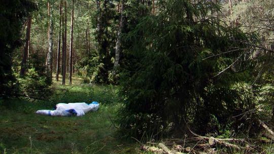 Borsk: paralotniarz spadł na drzewa