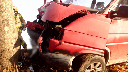 Busem czołowo w drzewo