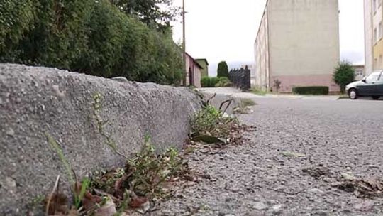 CHODNIK, OŚWIETLENIE, CZY SIŁOWNIA? GŁOSOWANIE TRWA