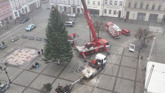 Choinka stanęła na kościerskim Rynku Choinka stanęła na kościerskim Rynku