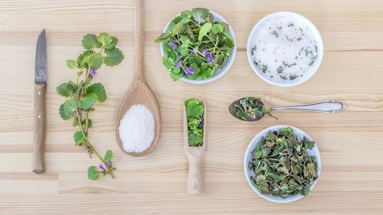 Czy istnieją roślinne leki przeciwwirusowe ? Sprawdziliśmy - istnieją