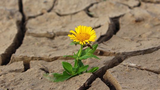 Czy zabraknie wody w naszych studniach ?