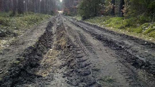 Czytelnik alarmuje: zdewastowana trasa pieszo-rowerowa z Kościerzyny do Garczyna