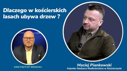 Dlaczego w lasach jest coraz mniej drzew