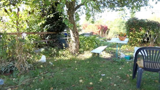 Działkowcy z osiedla 1000-lecia zapowiadają protest Działkowcy z osiedla 1000-lecia zapowiadają protest