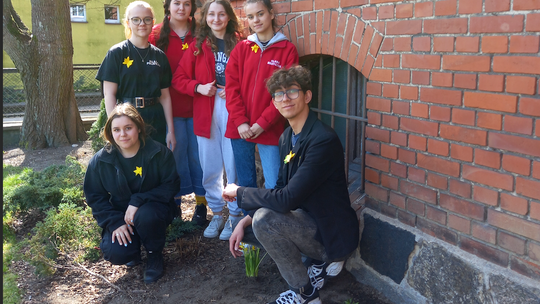 Ekonomik w akcji "Żonkile"