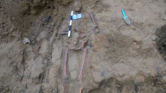 Ekshumowali szczątki żołnierzy w Parku przy 8 Marca ( Dużo zdjęć )