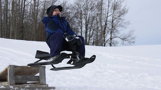 FELIETON NIE CAŁKIEM BEZ SENSU