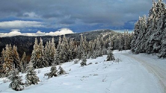 Gorce. Udane wczasy w górach