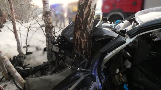 Groźny wypadek na trasie Nowa Kiszewa–Dębogóry. BMW uderzyło w drzewo