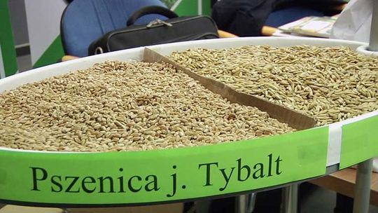 III Pomorskie Forum Nasienne