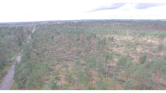 Informacja  Powiatu kościerskiego dla poszkodowanych właścicieli lasów w związku z nawałnicą  11 sierpnia 2017 r.