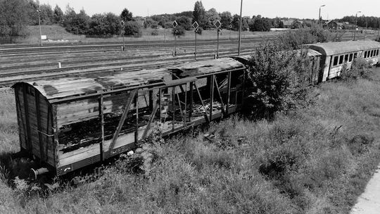 Jaka czeka je przyszłość? Opuszczone wagony kolejowe - Odc. 1