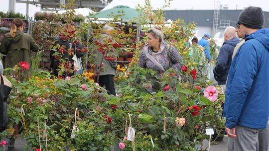 Jesień w Ogrodzie 2025 – ogrodnicze święto w Gdańsku