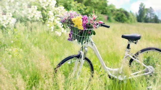 Kaszubski Rajd Rowerowy: Rodzinna Przygoda na Dwóch Kółkach