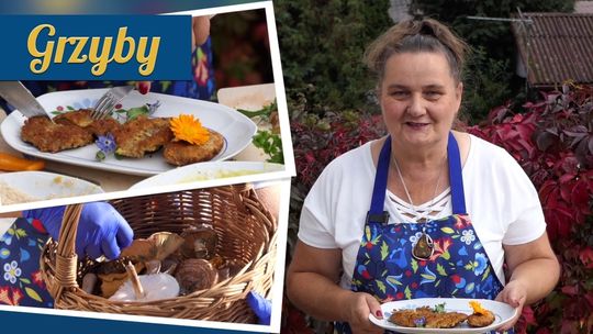 Kaszubskie Gotowanie. Grzyby