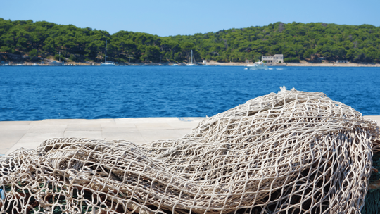 Kłusownik w rękach policji