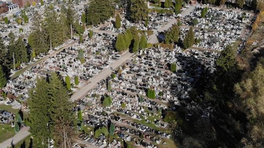 Kobieta zniszczyła kilkadziesiąt nagrobków na cmentarzu w Kościerzynie!