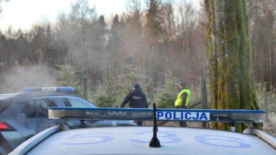 Kontrole choinek w powiecie kościerskim: policja i leśnicy w akcji