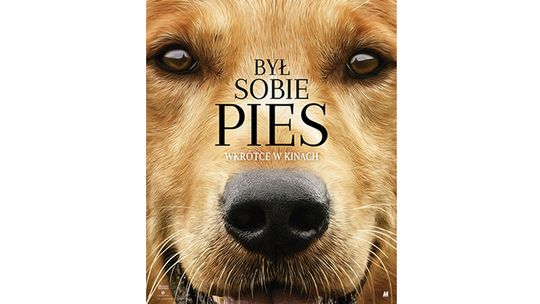 Kościerzyna. Kino Remus zaprasza na seans! 