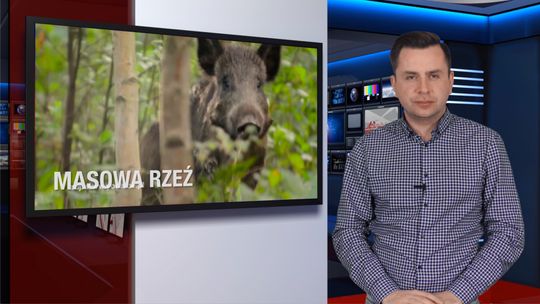 Kościerzyna. Podsumowanie tygodnia 07-11 stycznia 2019