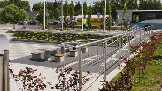 Kościerzyna. Zazieleniło się przy pomniku Wybickiego