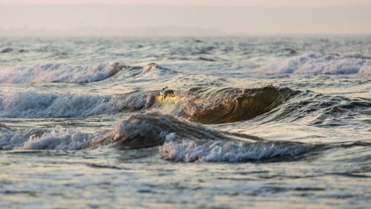 Kosmetyki z Gdańska – dlaczego warto wybierać lokalne laboratoria?