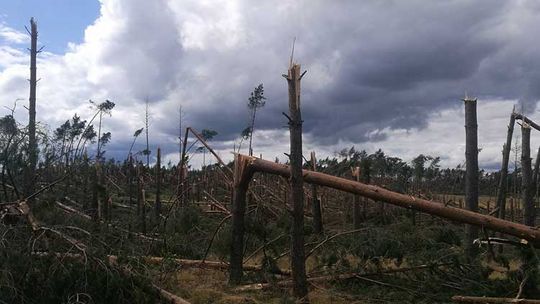 Krajobraz po burzy. Całe miejscowości bez prądu