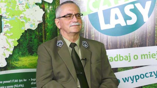 "Las rośnie bardzo wolno, ale płonie błyskawicznie"