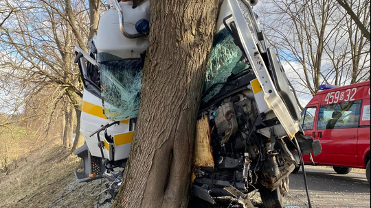 Lawetą czołowo w drzewo