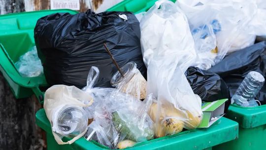 Mieszkańcy Kościerzyny apelują o niższe opłaty za wywóz śmieci!