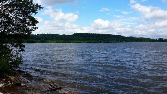 Mogą "wciągnąć" ludzi, zwłaszcza małe dzieci. Gigantyczne ryby w dzikich akwenach. Nowe zagrożenie w pomorskim...