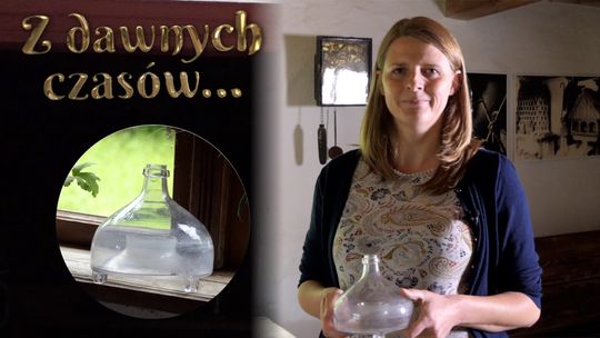 Muchołapka - z dawnych czasów