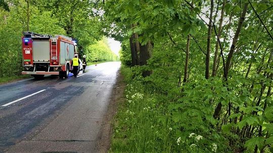 Na prostej drodze uderzył w drzewo