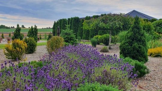 Nagrodzono zwycięzców w konkursie "Piękna Wieś Pomorska 2022 "