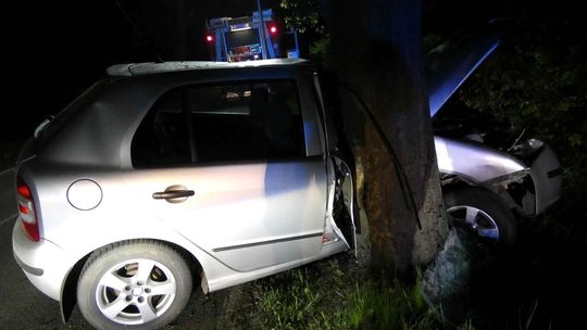 Nietrzeźwy kierowca uderzył w drzewo w Zamku Kiszewskim