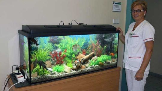 Nowe akwarium, rzetelna jakość badań w szpitalnym laboratorium