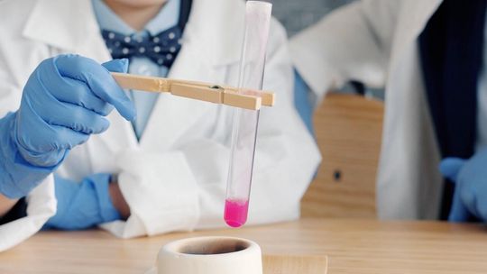 Odkrywcy poszukiwani! Niezwykłe warsztaty edukacyjne dla najmłodszych