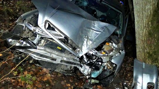 Oplem w drzewo. Dwie osoby w szpitalu 