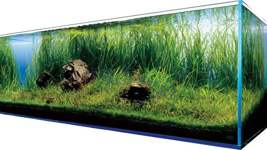 Oświetlenie do akwarium