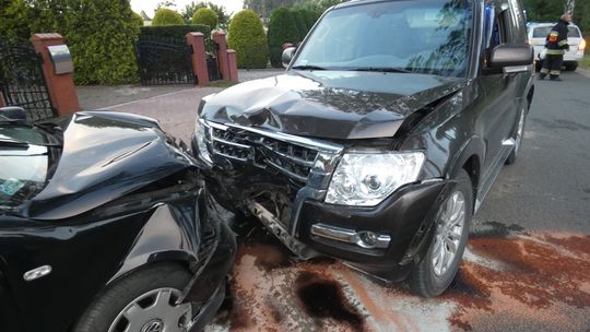 Pająk przyczyną wypadku na drodze