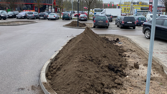 Parking przy Ogrodowej trochę się zazieleni Parking przy Ogrodowej trochę się zazieleni