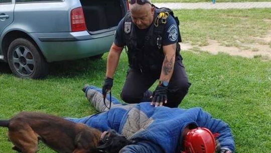 Pies policyjny z Kościerzyny pojechał do Czech