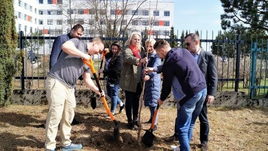 Piknik integracyjny w kościerskim szpitalu