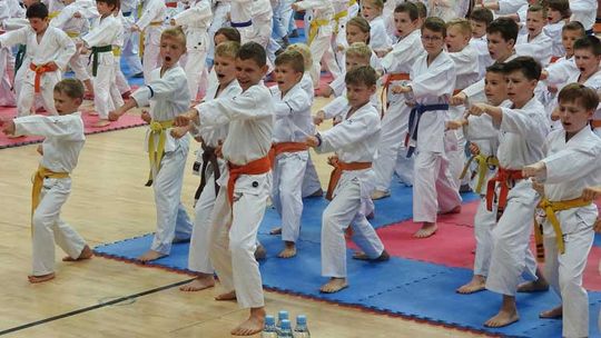 Pochwała naszych młodych karateków